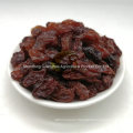 Pure Natural Color Raisin Cheap Price for Export